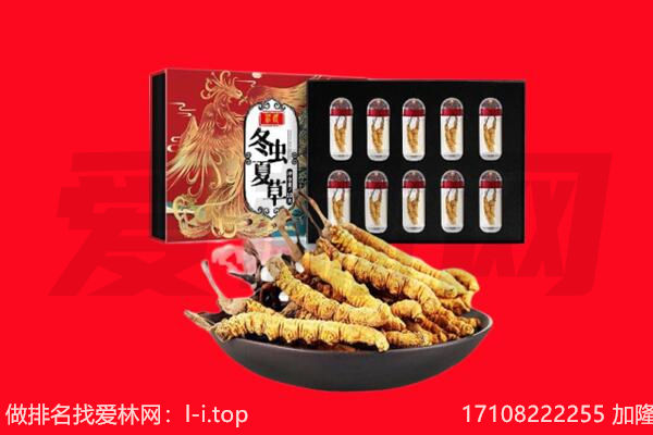 甘南州碌曲县回收虫草.jpg